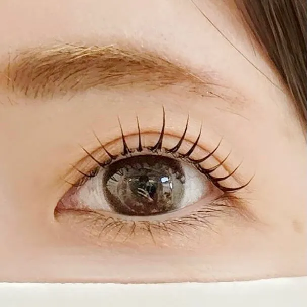 ✨🎄12月は“まつ毛パーマ”でイベント映え🎄✨